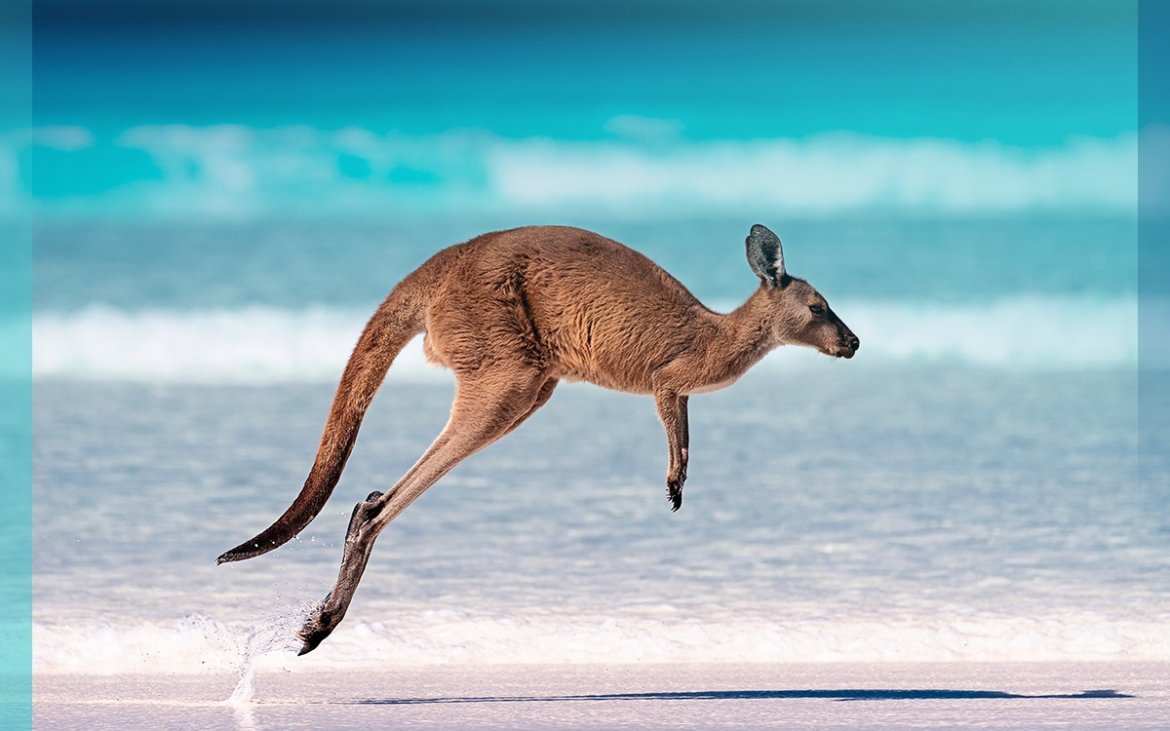 Australia - kraj do odkrycia?