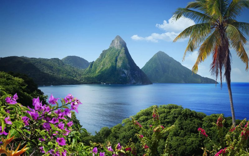 Internet Saint Lucia